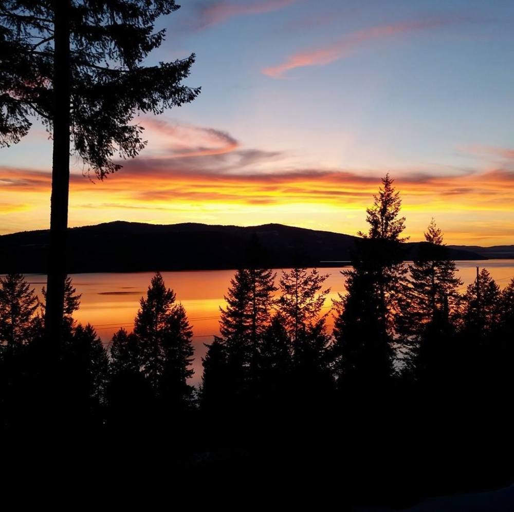 Meet your Posher, Loy